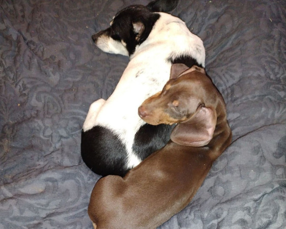 Review from Charles L. 