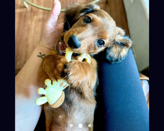 Review from Kelsey D.