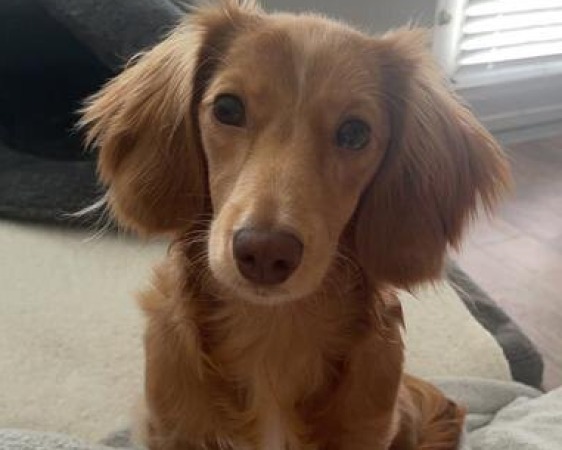 Review from Rachael R.