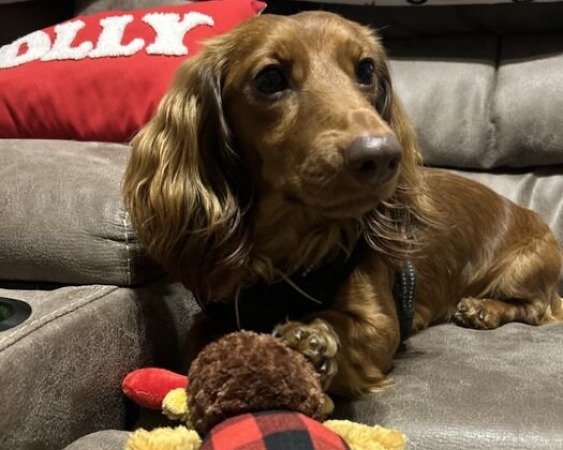 Review from Kelsey L. 